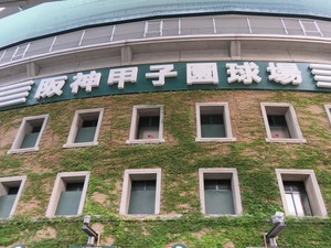 【センバツ】第95回選抜高校野球大会出場校発表　 21世紀枠に氷見、城東、石橋 画像