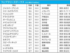 【フェブラリーS／枠順】レモンポップの4枠は勝率わずか“5％”　馬券内率トップの好枠に伏兵2騎 画像