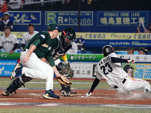 【今週の決戦】オリックス茶野篤政対ソフトバンク周東佑京の“リードオフマン対決”に注目 画像