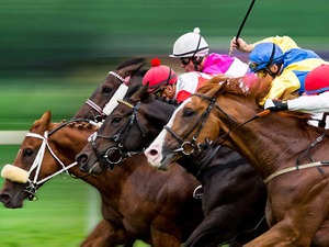 【POG2023-2024】ノーステッキで2着に9馬身差　評判のモーリス産駒が“ド派手”デビュー 画像