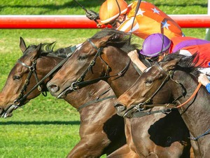 【POG2023-2024】単勝1.5倍で快勝のルージュレベッカ　「実質追い切り2本」であっさりデビューV 画像