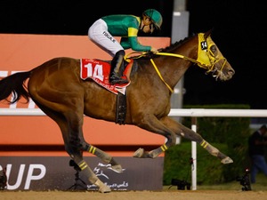 【BCクラシック】ウシュバテソーロ末脚不発の5着も、デルマソトガケ2着に大健闘　地元勢ホワイトアバリオが制す 画像