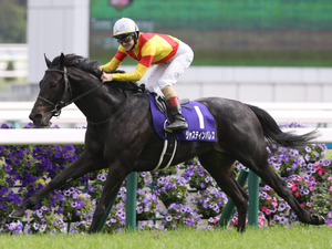 春の天皇賞馬ジャスティンパレスが有馬記念参戦を表明　現在の出走予定馬は？ 画像