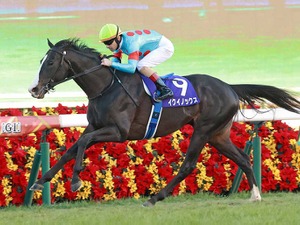 【有馬記念】山本由伸の12年460億円を“2分30秒”で稼ぐ？　ビッグマネーが動く暮れのグランプリ 画像