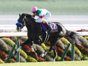 ドゥレッツァに“勝率0％”データで「荒れる予感」　穴党もニヤリの「前代未聞の低レベル」世代説浮上 画像