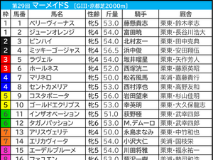 【マーメイドS／枠順】好走馬2/3を占める“1桁馬番”が単複回収値100以上　Dコース替わりで外枠不利か 画像