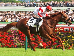 【ドバイシーマC／3連単30点】ダノンデサイルらGI馬に立ちはだかる“日本馬キラー”　英国勢2騎も不気味 画像