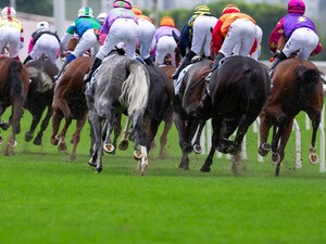 【皐月賞／馬場情報】怪時計連発の“超高速”Cコース開催　時計勝負に強い有力馬と穴馬、そしてドンピシャ特注馬 画像