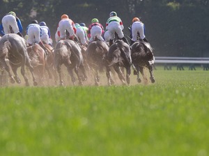 【ヴィクトリアマイル／馬場情報】雨から一転、夏日なら例年どおりの高速決着か　浮上する前日“10人気”前後の爆穴2頭 画像