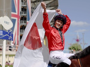 坂井瑠、岩田望のアジア選抜優勝のシャーガーカップ、「ここにいるべきではない騎手が1、2人……」と英関係者が騎手レベルを酷評 画像