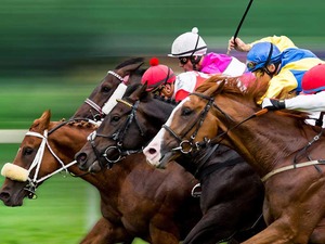 【秋華賞／全頭診断】馬券妙味は「1.1.0.0」の想定10人気以下　京都で“覚醒警戒”の穴馬は 画像