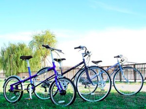 ミシュランのベロミシュランシリーズ第3弾「パリ・ブレストクラッシック」と「パリ・ブレストミニ」が発表 画像