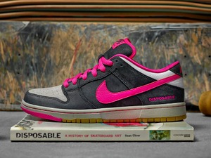 ショーン・クライヴァーの名作の出版10周年を記念にインスパイアされたNike Dunk LOW Premium SB 画像
