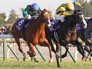 【ジャパンC】「どんなジョッキーカメラより熾烈」各馬のポジション争いにファン熱狂「バッチバチの競り合い」 画像