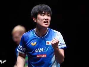 張本智和が“天敵”F・ルブランに連勝し日本勢唯一の4強入り　張本美和は世界4位・陳幸同と激闘もフルゲーム惜敗【WTTチャンピオンズ・ドーハ】 画像