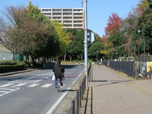【疋田智のバイシクル物語】未来都市にこそ自転車を！ 画像