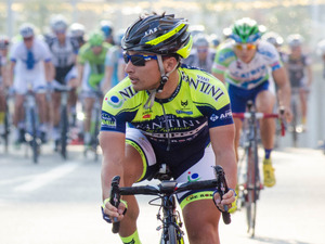 NIPPO・ヴィーニファンティーニ・デローザの2015年チーム体制が発表　日本人選手は山本、黒枝、石橋の3人 画像