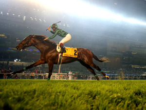 【競馬】ジャスタウェイ有馬でラストラン、2014年ドバイDFなど制す 画像