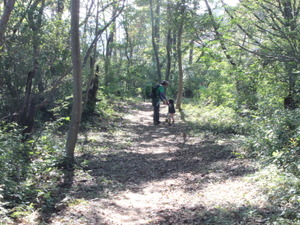 【小さな山旅】県またぎハイク…鶏足山（ 2） 画像