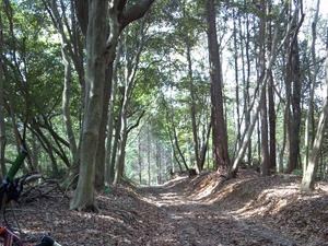 大阪・ビチテルミニで平日MTBの会が17日に開催 画像