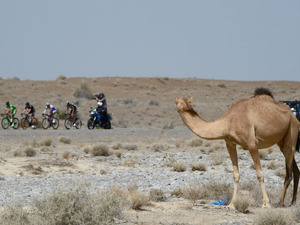 グアルディーニがツアー・オブ・オマーン第1ステージを制す 画像