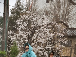 雨でも爽やか、東京を楽しむ…オランダ~ベルギー・フランダース東京散走 画像