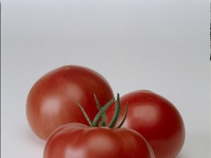 外国人の日本食に対する意識調査……素晴らしいところは「食材が新鮮」 画像