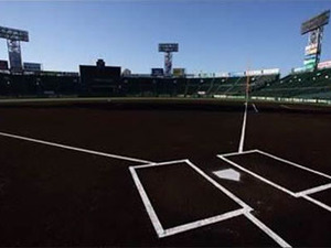 「阪神甲子園球場 球