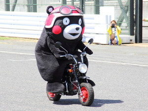 【鈴鹿8耐】くまモン、見事なバイクパフォーマンスを披露 画像