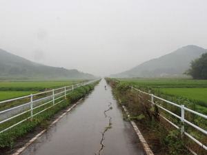 【小さな山旅】鉄道跡に作られた自転車道「つくばりんりんロード」を