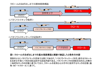 クロールでの泳ぎ出し前のバタ足追加は大きな減速に…順天堂大学