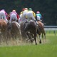 【POG2023-2024】土曜中山2Rに“星4”　「勝ち上がった2/3頭が初陣Vの爆速血統」 画像