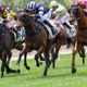 【天皇賞春／全頭診断】先行有利馬場と感じたら”最低でも連下印”推奨　「2.1.1.0」想定8人気以下に激走警報発令 画像