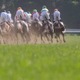 【天皇賞春／馬場情報】内外も前後ろもフラットだが……高速決着で上がりは速い　浮上する単勝オッズ“2桁”の妙味 画像