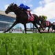 【NHKマイルC／データ攻略】ランスオブカオスとマジックサンズの「買い or 消し」　2年目騎手と“生ける伝説”騎乗馬に明暗 画像