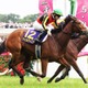 【優駿牝馬（オークス）2025特集】「エンブロイダリーvs.アルマヴェローチェの2強対決か」出走予定・枠順、予想オッズetc. 画像
