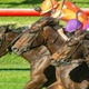 【北九州記念／危険な人気馬】ロードフォアエースに“勝率ゼロ”が続々出現……3人気以内濃厚も安易に食いつけない理由 画像