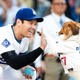 【MLB】大谷翔平が夏を満喫、“プールで遊ぶ”デコピンの姿を公開「大谷さん涼しい写真ありがとう！」「かわいすぎだろ」 画像