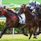 【七夕賞／データ攻略】セブンマジシャンとシルトホルンの「買い or 消し」　“押さえ必須”の激走馬目白押しローテは 画像