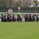 【オールカマー／データ攻略】ヨーホーレイクとドゥラドーレスの「買い or 消し」　良血馬2頭で「3.0.0.0」の勝ち馬候補は 画像