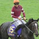 【菊花賞】ジョッキーカメラが捉えた川田将雅の2週連続“ハラハラ”ゲート内　「あー！」で発馬の災難にファン既視感 画像