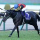 【マイルCS／危険な人気馬】マイルGI馬3強の一角に“黄信号”データ浮上　消しレベルの「1/63と0/4」 画像
