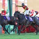 【有馬記念】「レースを支配した」C.デムーロの“神騎乗”ジョッキーカメラ　レガレイラ＆ルメールもお手上げ「バックミラーついてる？」 画像