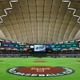 【WBC2026】海外ブックメーカーの「1次ラウンド突破オッズ」は？　米国＆侍ジャパンは“鉄板評価”もプールDは混戦模様 画像