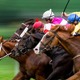 【安田記念／穴ライズ】ガイアフォースらと互角の実績馬が前売り“10人気”前後　「根拠なき理由」が引き上げる魅惑のオッズ 画像