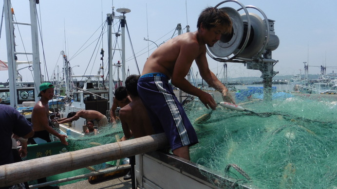 茨城・大洗町の海水浴場が再開…防護ネット設置や監視体制を強化