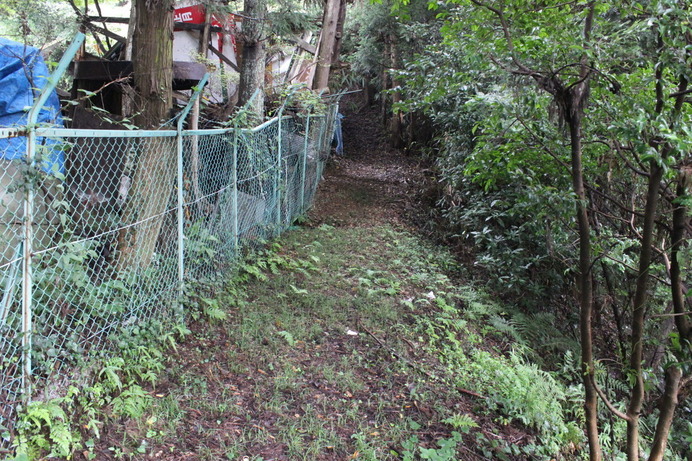 教えてもらった登山道？　ぱっと見ではわからない。