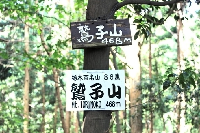 この看板を見つけるのに一苦労。こことは別に地形図上の三角点を示す場所があるらしい。