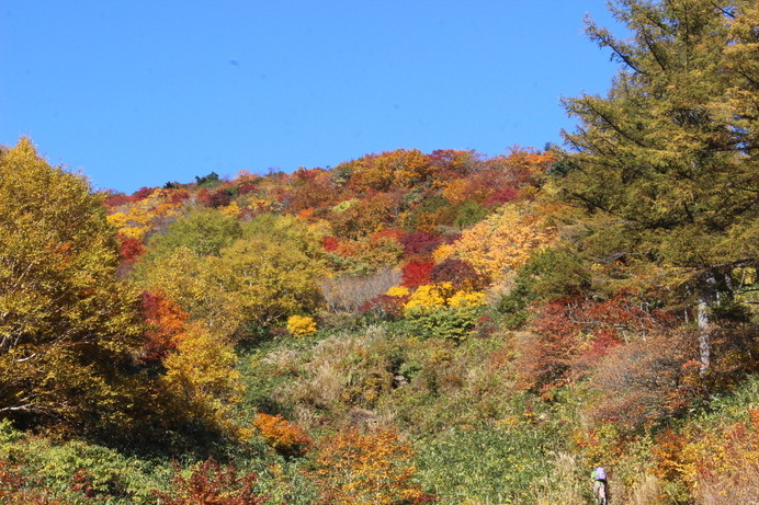 この日は紅葉が本当に素晴らしかった。