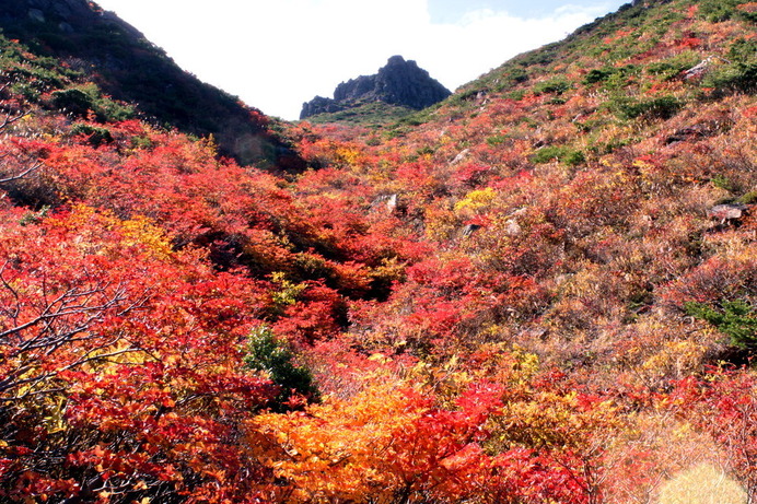紅葉まっさかりの安達太良山。思わず息を呑むほどの景色である。